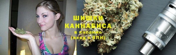 ПСИЛОЦИБИНОВЫЕ ГРИБЫ Алексеевка