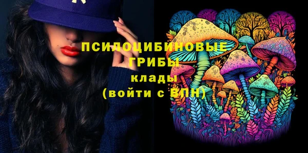 герыч Алексин