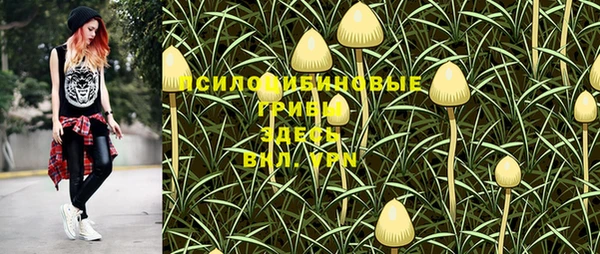 ПСИЛОЦИБИНОВЫЕ ГРИБЫ Алексеевка