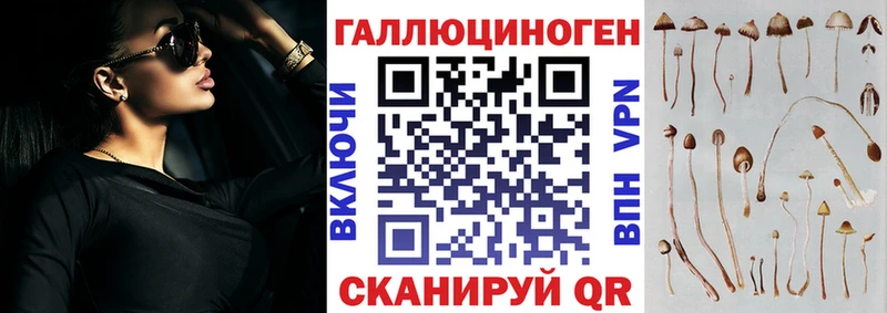 Псилоцибиновые грибы Magic Shrooms  Купить закладки  Афипский 